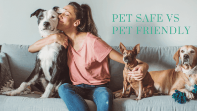 pet-safe-vs-pet-friendly-ice-melt:-the-hidden-truth-of-these-misunderstood-labels